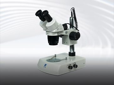 Stereo Microscope View